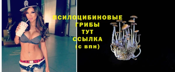 jwh Аркадак