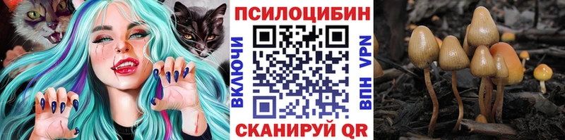 Галлюциногенные грибы мицелий  Пущино 
