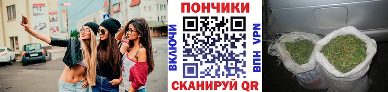 Бошки марихуана план  Пущино 